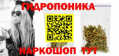 прущие крисы Краснодар