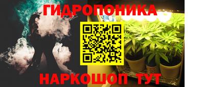 прущие крисы Краснодар